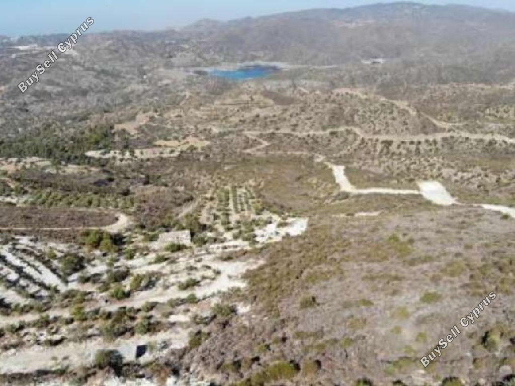 land for sale ora larnaca 945740 image 15602234