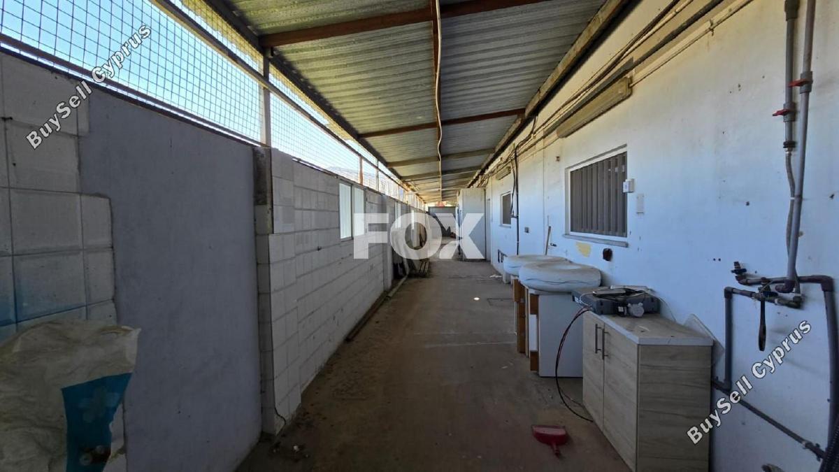 studio office for rent zakaki limassol 1722740 image 5689467