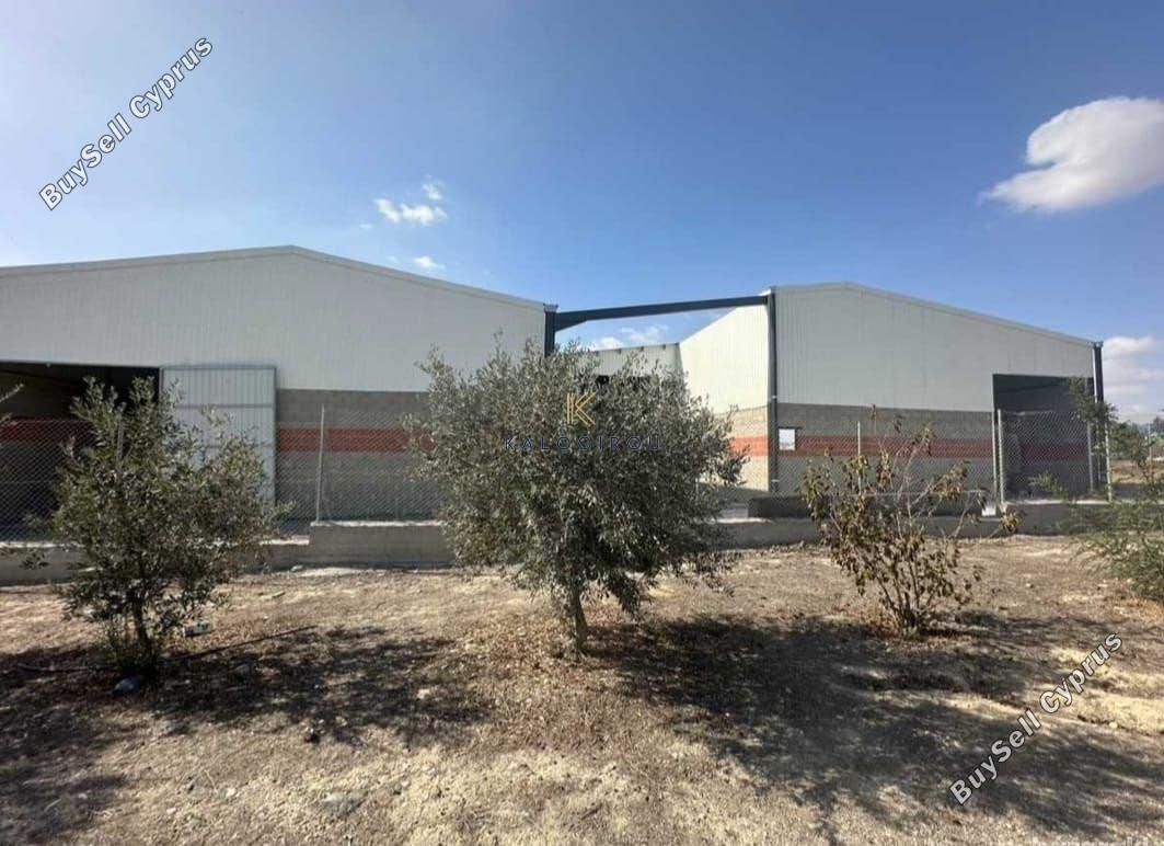 studio warehouse for sale aradippou larnaca 8869740 image 17209764