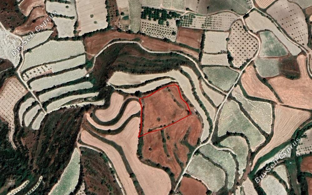land for sale kallepeia paphos 873840 image 15177770
