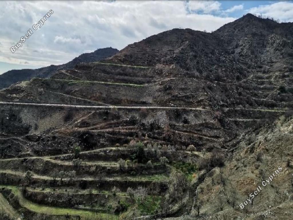 land for sale odou larnaca 1032840 image 15602300