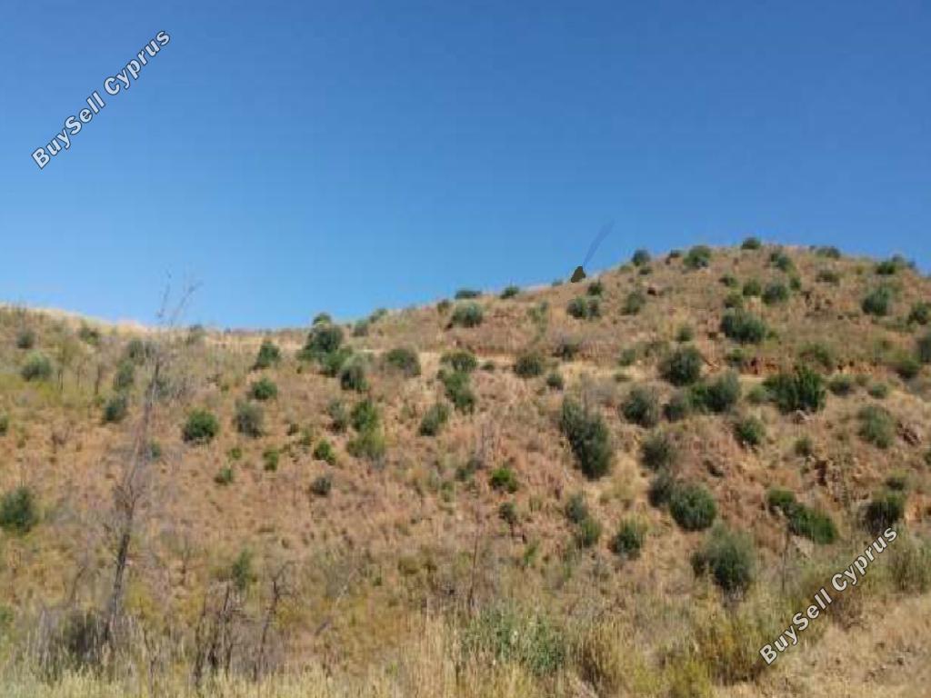 land for sale ora larnaca 945840 image 3364598
