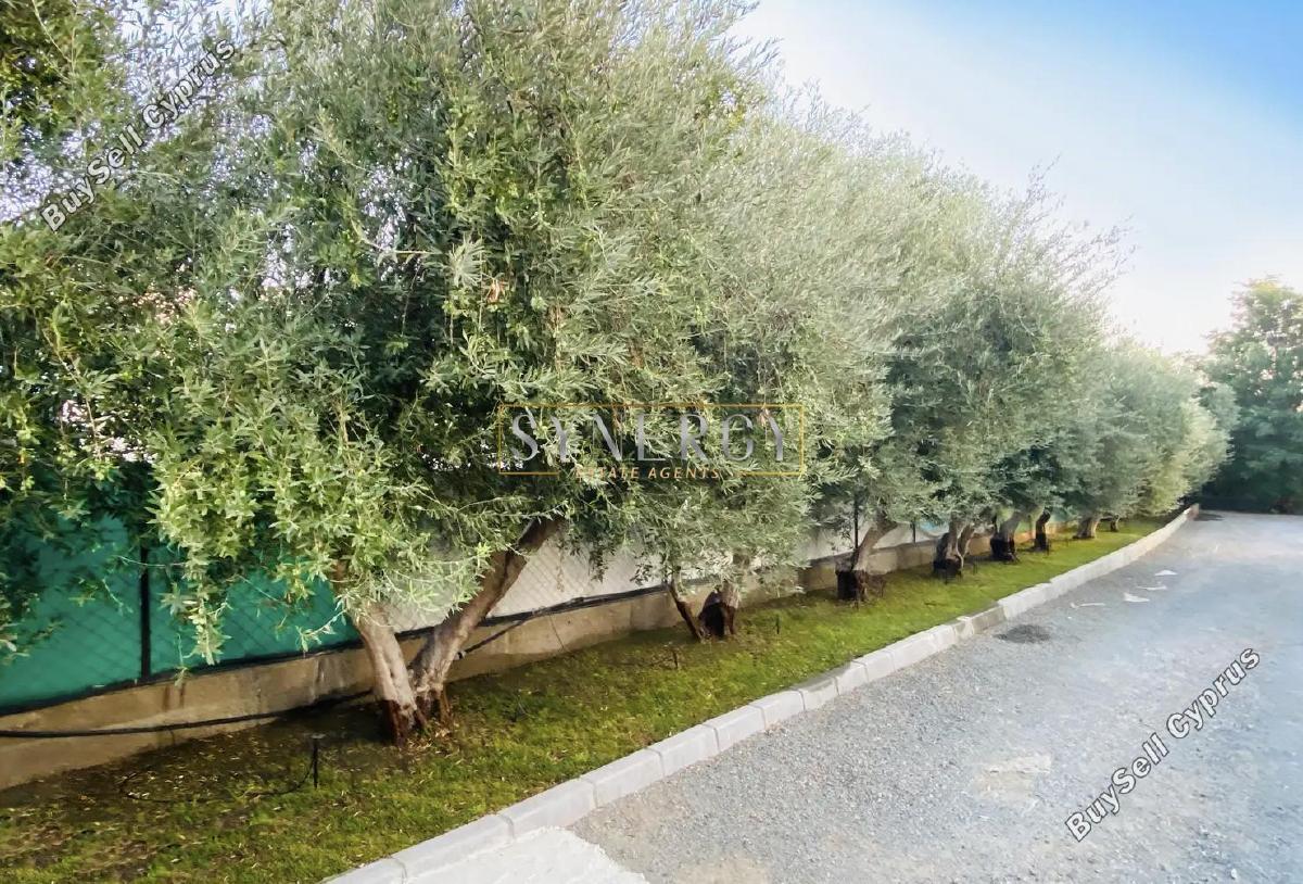 3 bedroom detached house for rent pyrgos limassol limassol 8587940 image 17504370