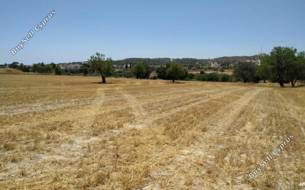 land for sale alethriko larnaca 830940 image 1056795