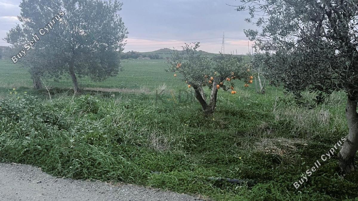 land for sale dali nicosia 1191050 image 5822630