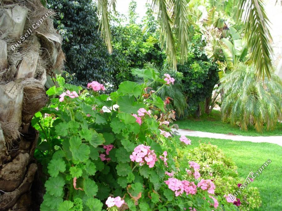 6 bedroom detached house for rent tremithousa paphos 8500150 image 15907007
