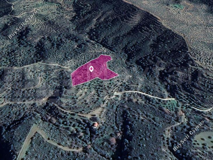 land for sale vavla larnaca 7872150 image 11384297