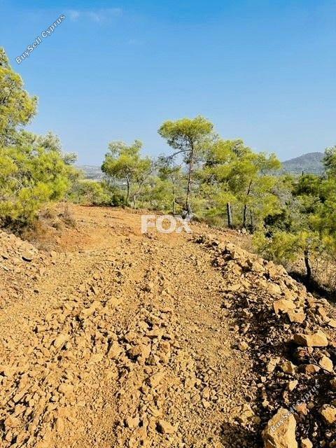 plot for sale kornos larnaca 1353150 image 5600611