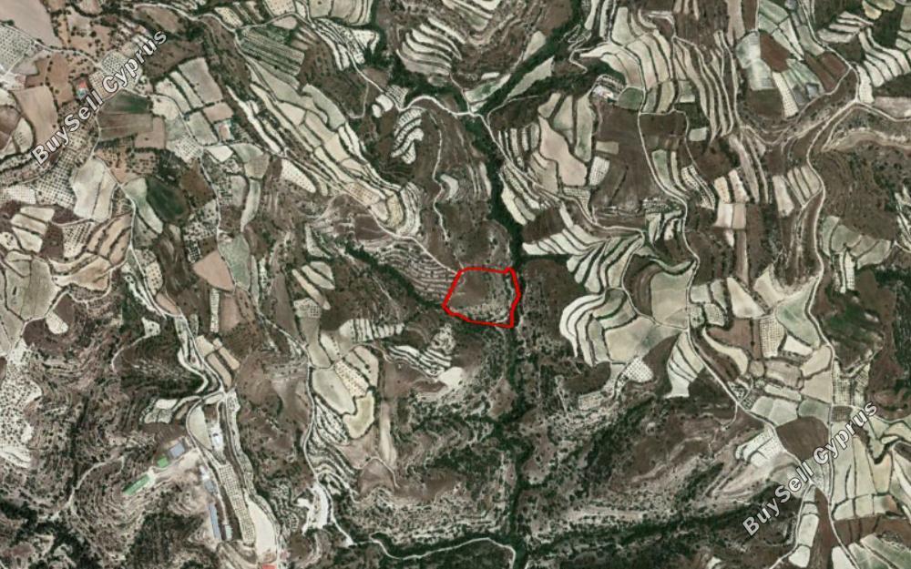 14716 SQM Land for sale in Kallepeia, Paphos 15178105