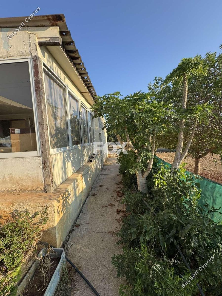 3 bedroom bungalow for sale chlorakas paphos 1889350 image 9217490