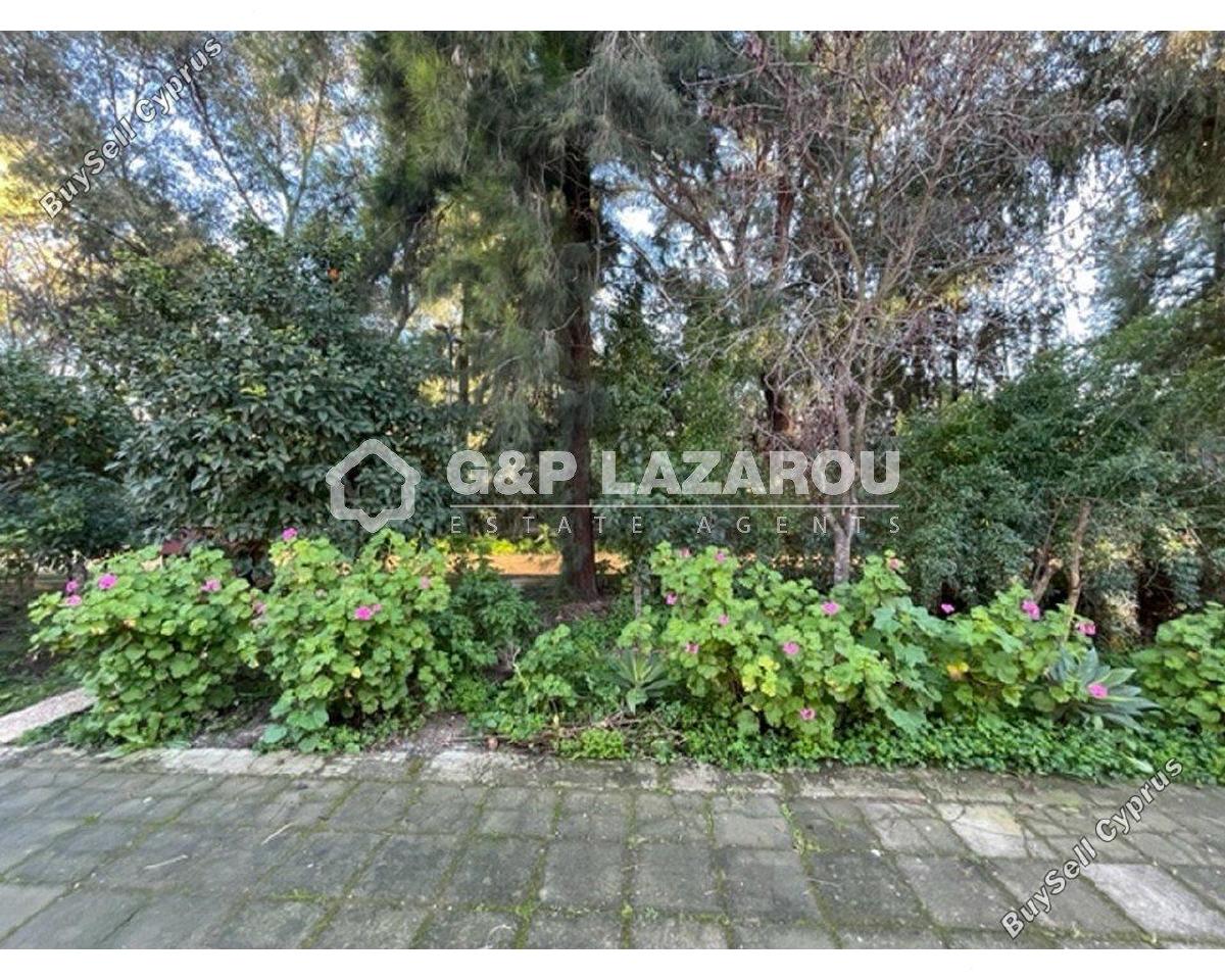 4 bedroom detached house for rent strovolos nicosia 1581450 image 16704913