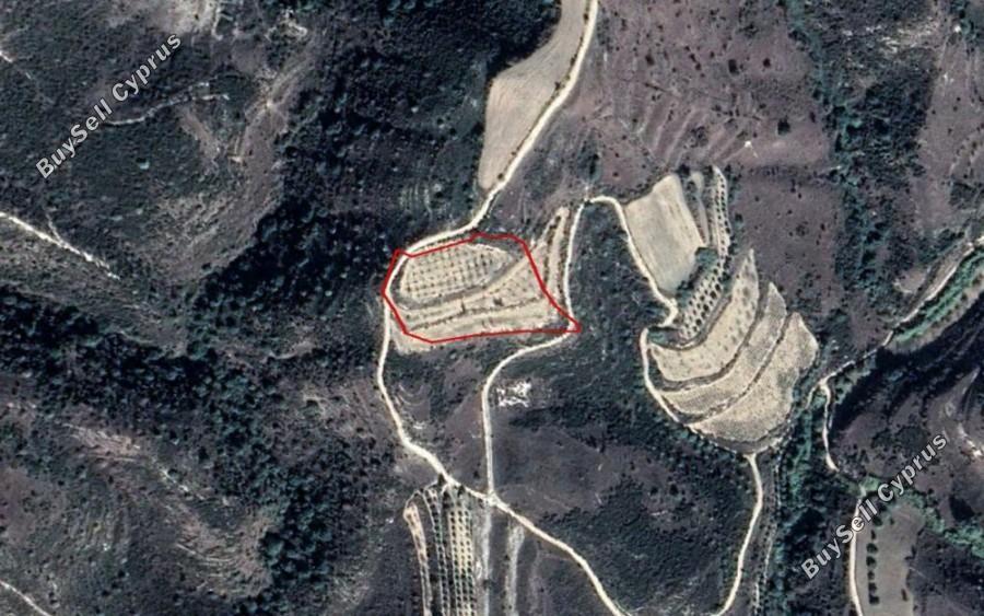 land for sale stroumbi paphos 8630650 image 15873902