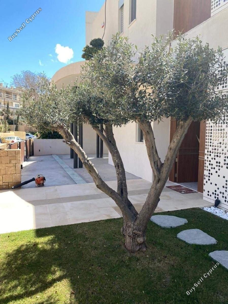 6 bedroom detached house for sale emba paphos 1682750 image 4387379