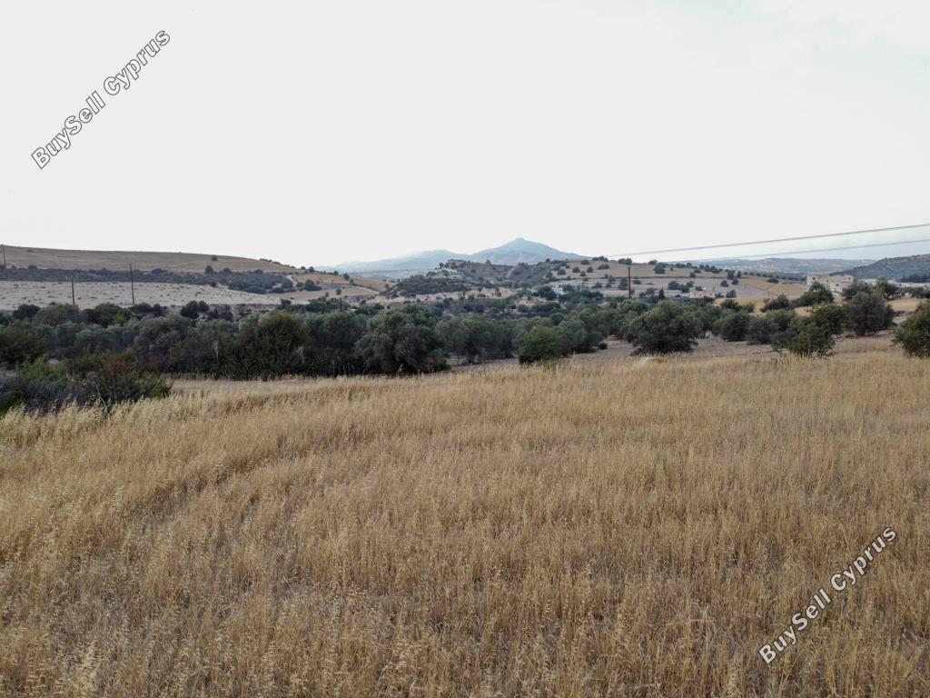 land for sale alaminos larnaca 962750 image 15601887