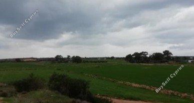 plot for sale potamos liopetriou famagusta 1804750 image 15502717