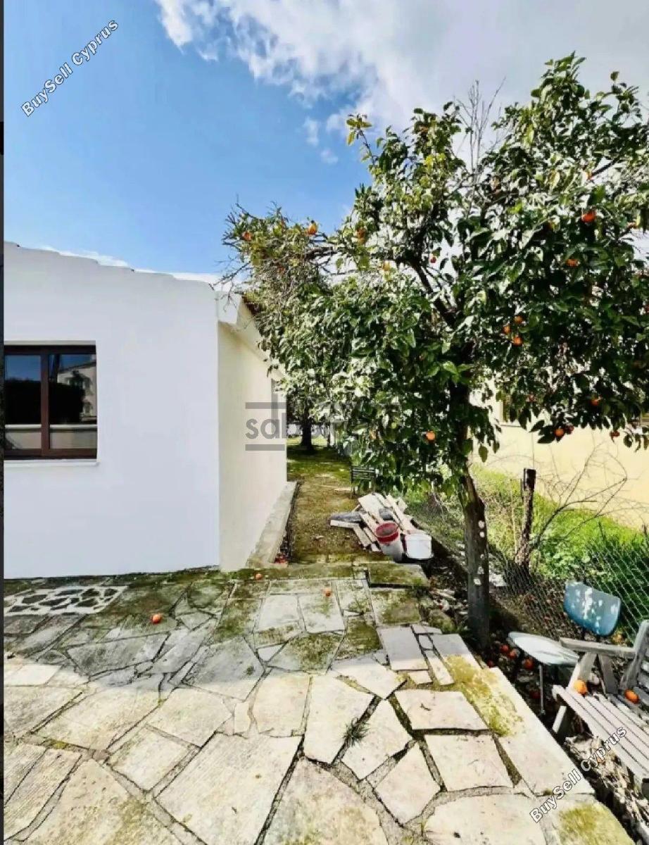 4 bedroom detached house for sale pervolia larnaca 8736850 image 16350880