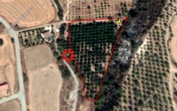 land for sale skarinou larnaca 1306850 image 13892694