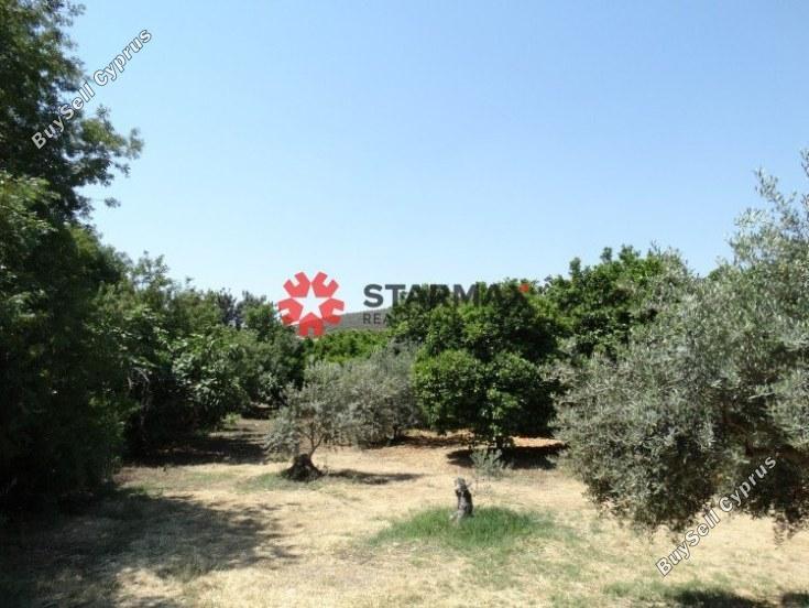 land for sale skarinou larnaca 1306850 image 13892695