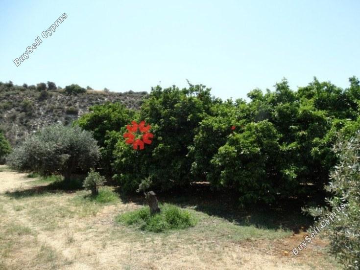 land for sale skarinou larnaca 1306850 image 13892697