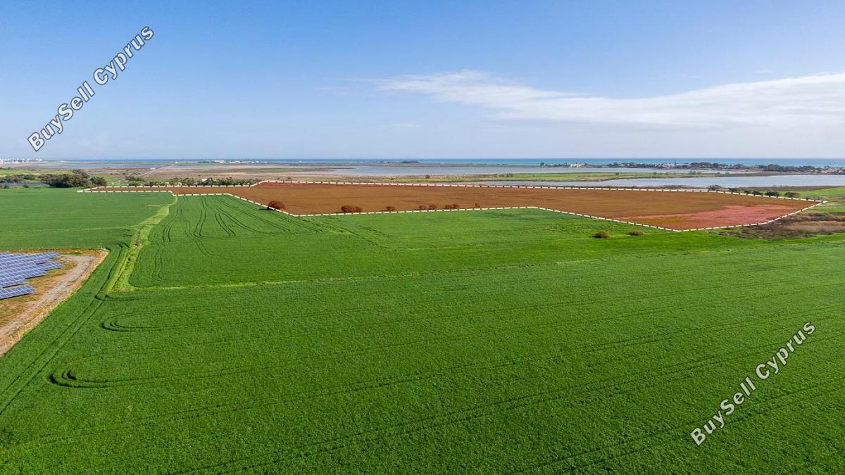 155800 SQM Plot for sale in Meneou, Larnaca 16191673