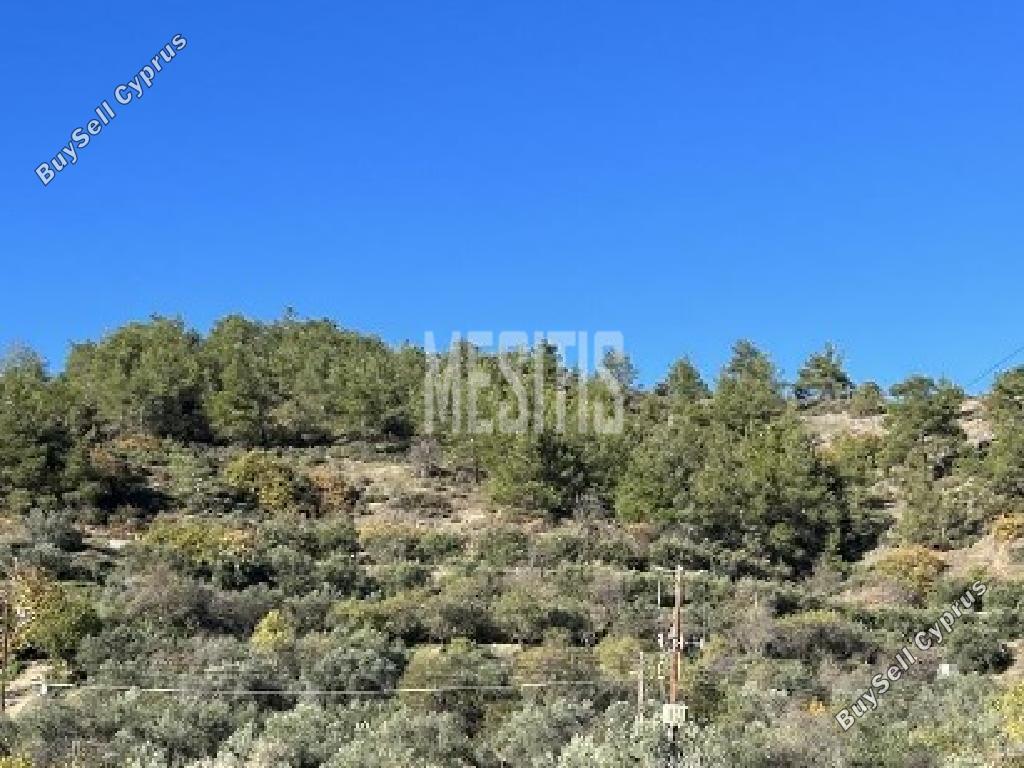 land for sale kalo chorio oreinis nicosia 8191950 image 13640998