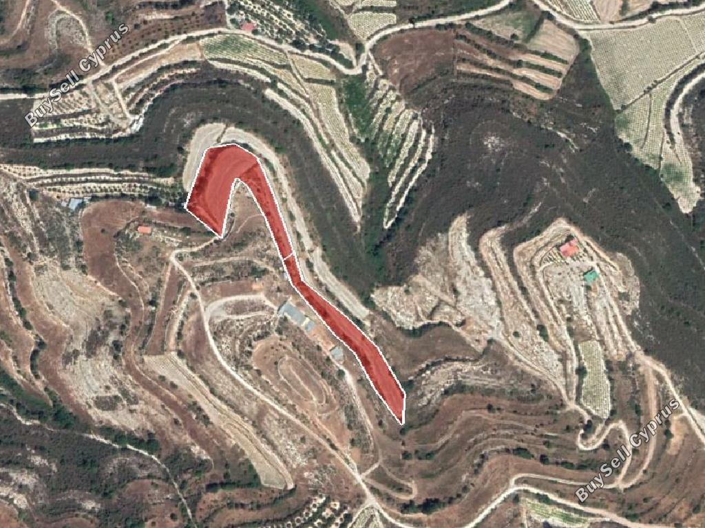 land for sale pachna limassol 945950 image 15600691