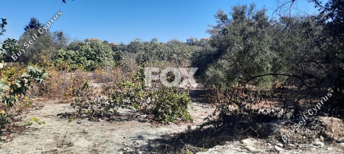 land for sale tsada paphos 1307950 image 14831292