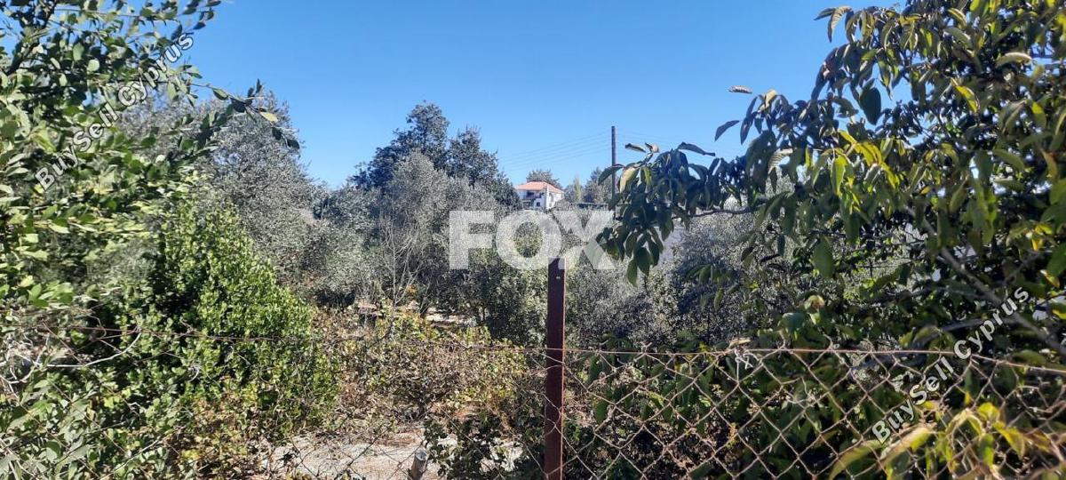 land for sale tsada paphos 1307950 image 14831294