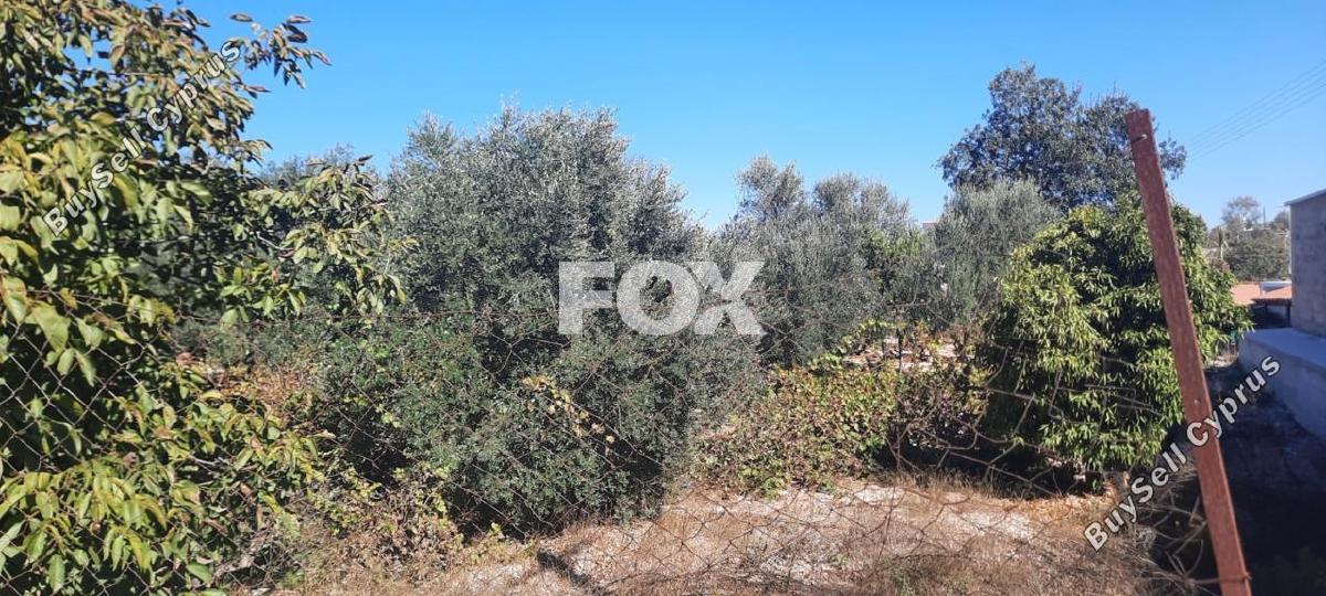 land for sale tsada paphos 1307950 image 14831296