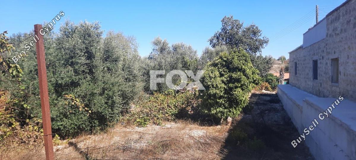 land for sale tsada paphos 1307950 image 14831298