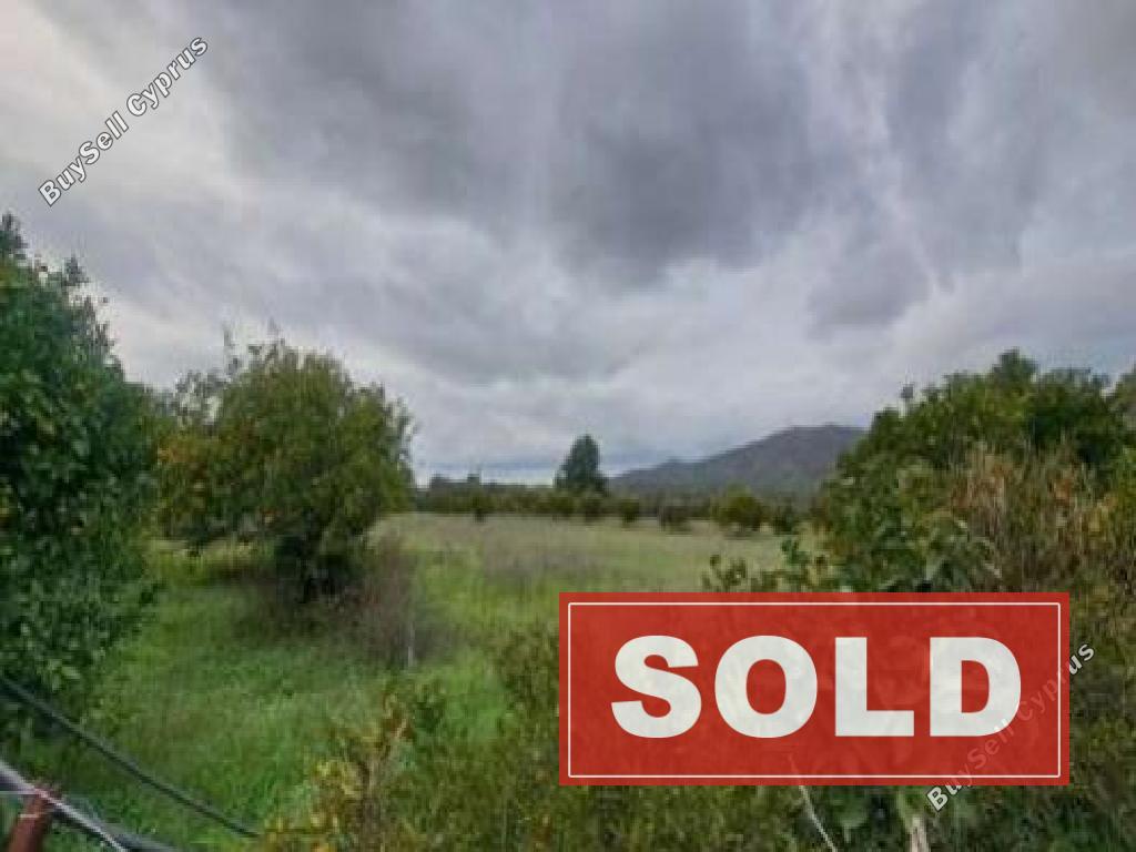 land sold kornos larnaca 8705060 image 16242380