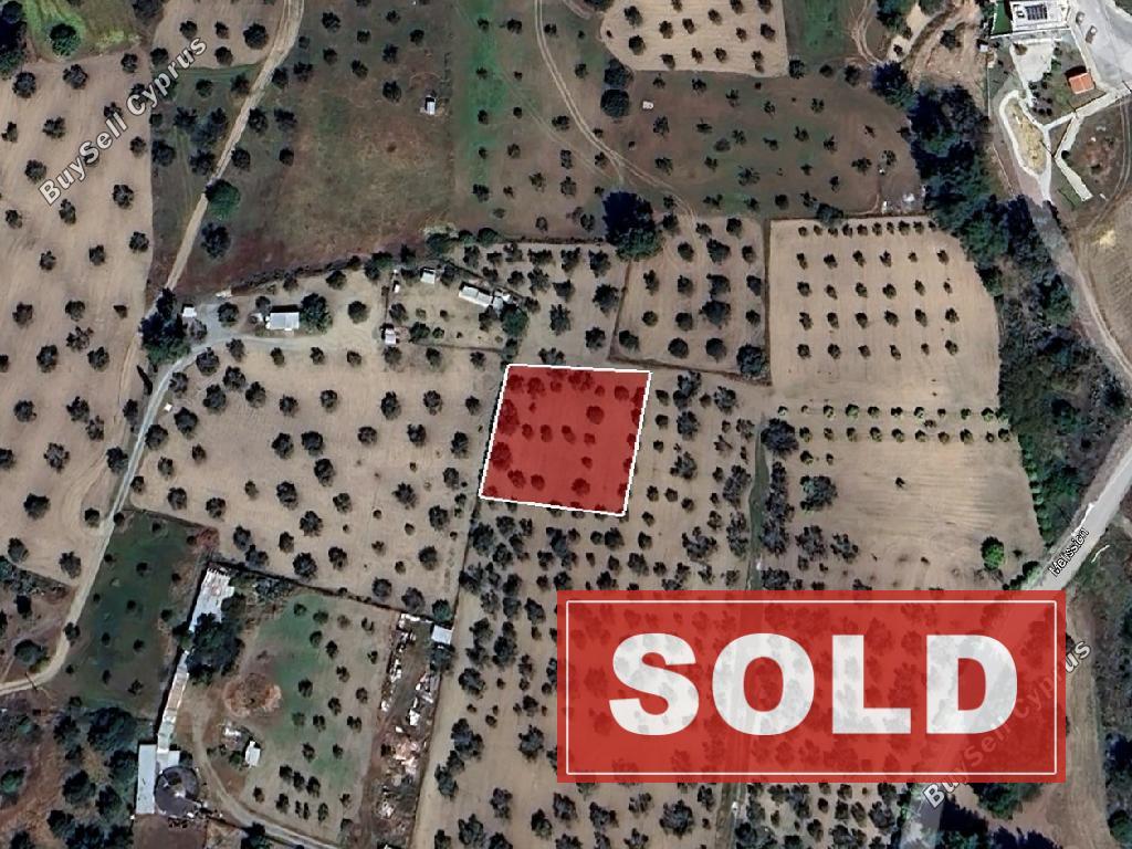 land sold kornos larnaca 8705060 image 17641122