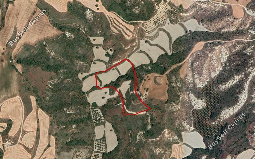 16389 SQM Land for sale in Choli, Paphos 15177627