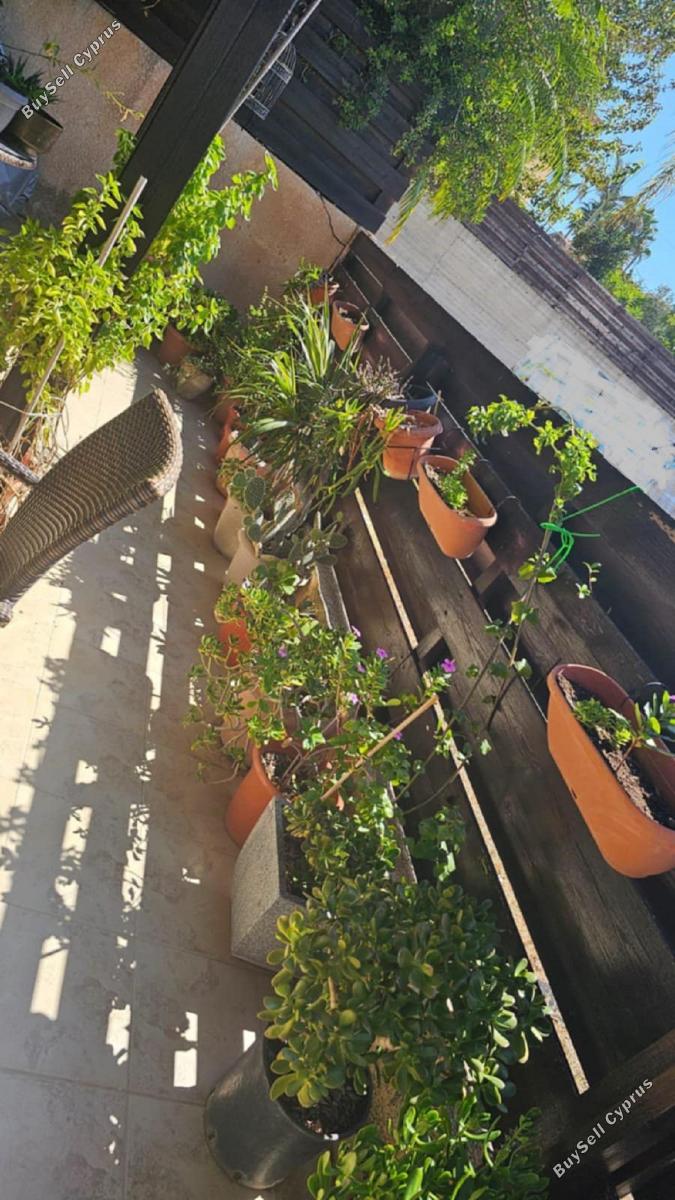 3 bedroom semi detached house for sale kolossi limassol 1855160 image 6742306