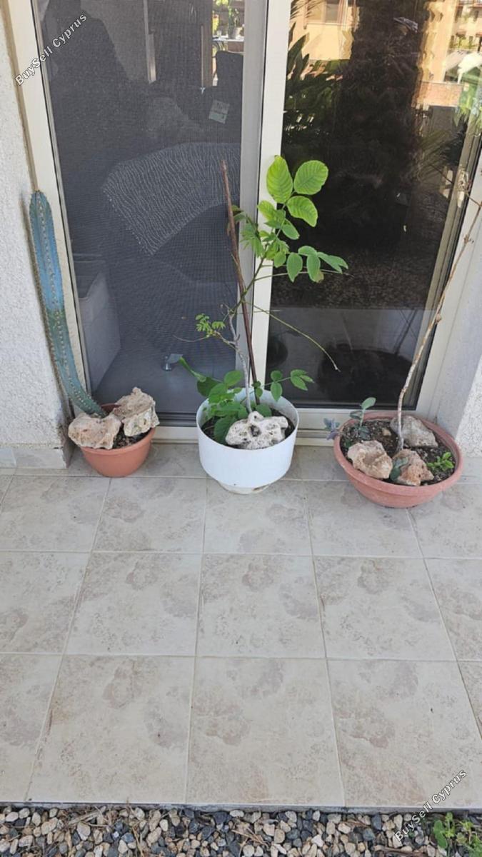 3 bedroom semi detached house for sale kolossi limassol 1855160 image 6742313