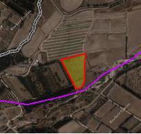 land for sale acheleia paphos 1928160 image 10052201
