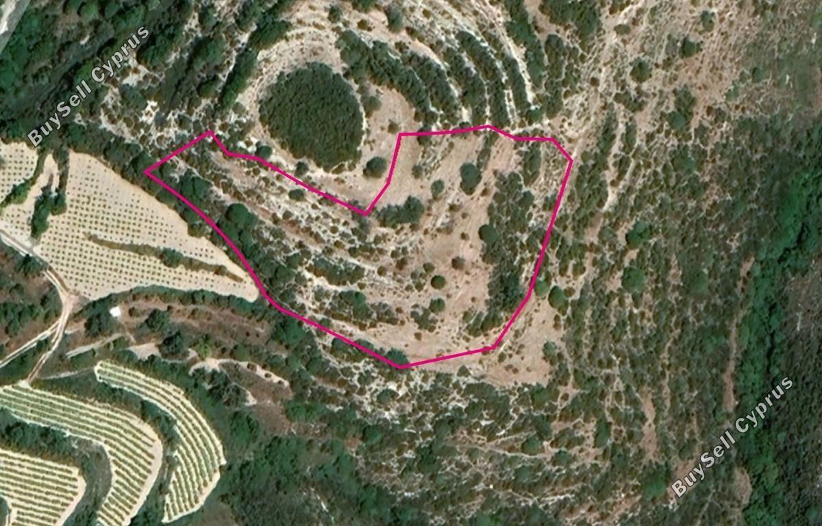 land for sale koili paphos 8396160 image 14823834