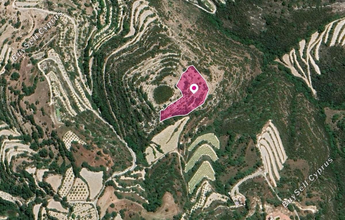 land for sale koili paphos 8396160 image 14823837