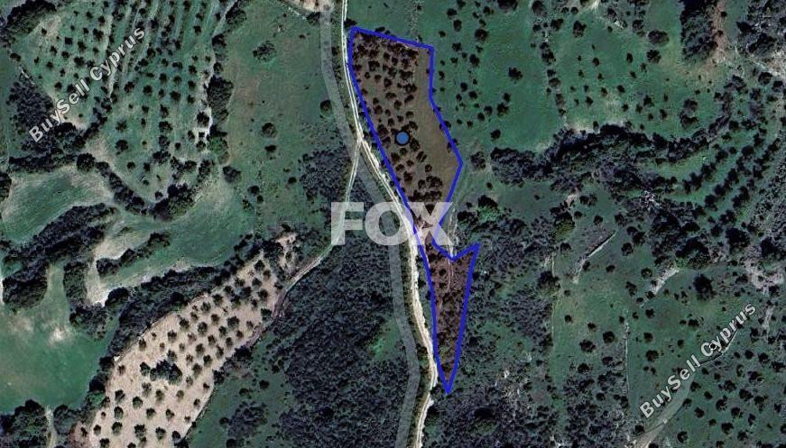 land for sale meladia paphos 1566260 image 5641637