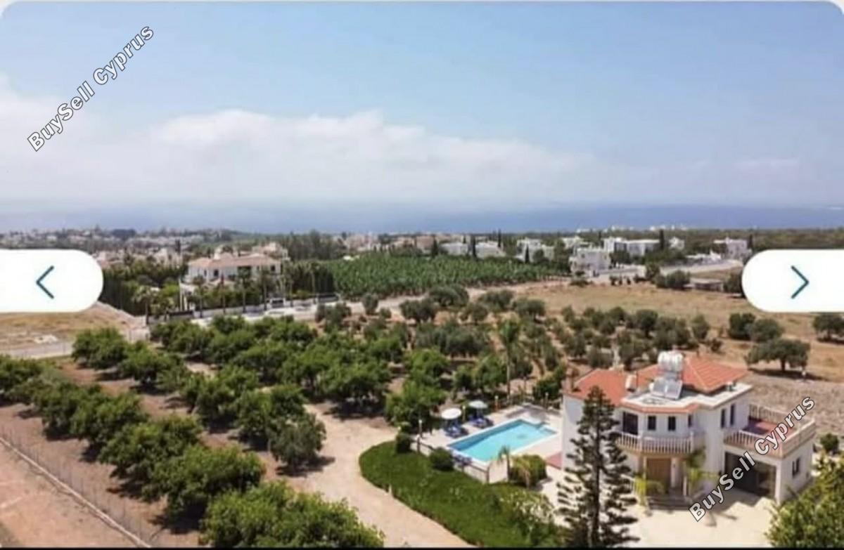 4 bedroom detached house for rent saint george peyia paphos 8745360 image 16431098