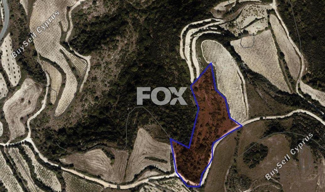 land for sale kathikas paphos 1532460 image 14829094