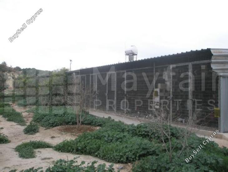 land for sale softades larnaca 7870460 image 11377882