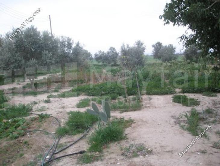 land for sale softades larnaca 7870460 image 11377883