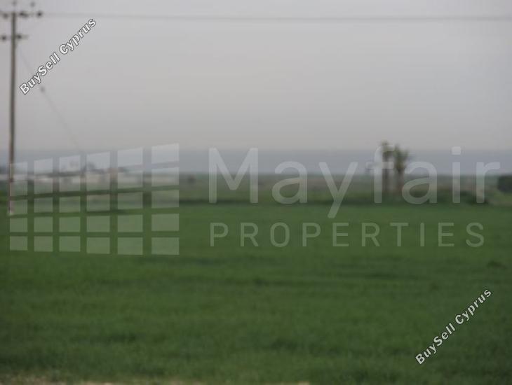 land for sale softades larnaca 7870460 image 11377885