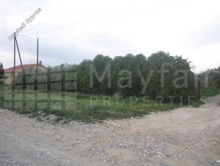 land for sale softades larnaca 7870460 image 11377886