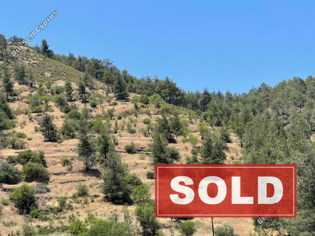 land sold agios epifanios oreinis nicosia 1353460 image 6818744