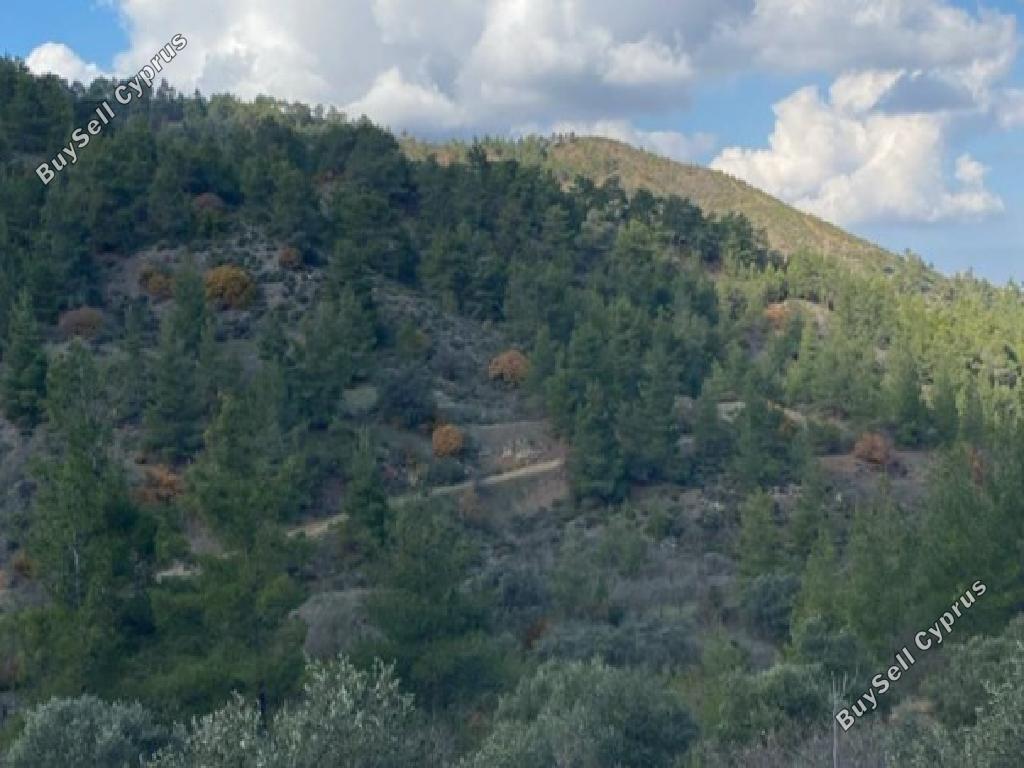 5310 SQM Land for sale in Palaichori Morfou, Nicosia 15596387