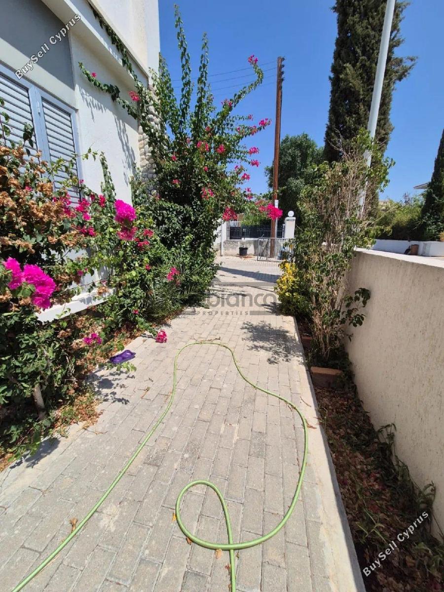 3 bedroom detached house for rent agios andreas nicosia nicosia 8748560 image 16466191
