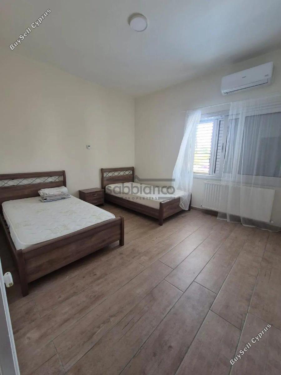 3 bedroom detached house for rent agios andreas nicosia nicosia 8748560 image 16466212