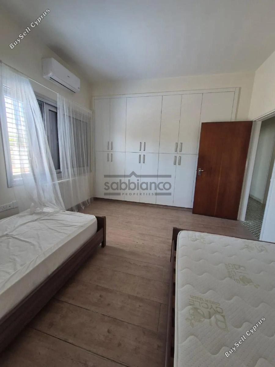 3 bedroom detached house for rent agios andreas nicosia nicosia 8748560 image 16466216
